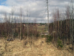 Utsikt från Gransättra